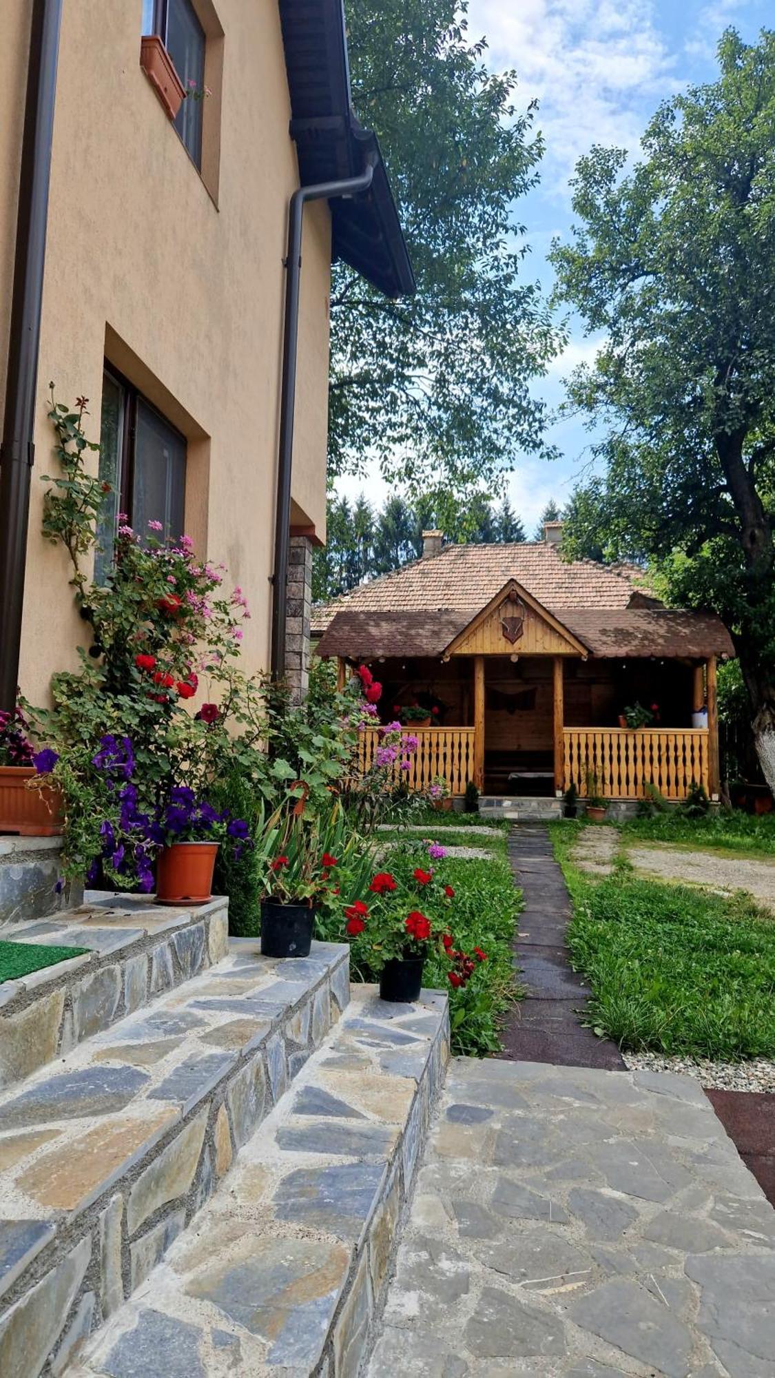布朗Casa Dorina别墅 外观 照片