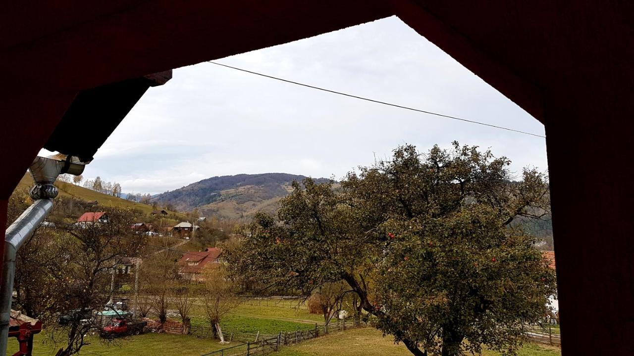 布朗Casa Dorina别墅 外观 照片